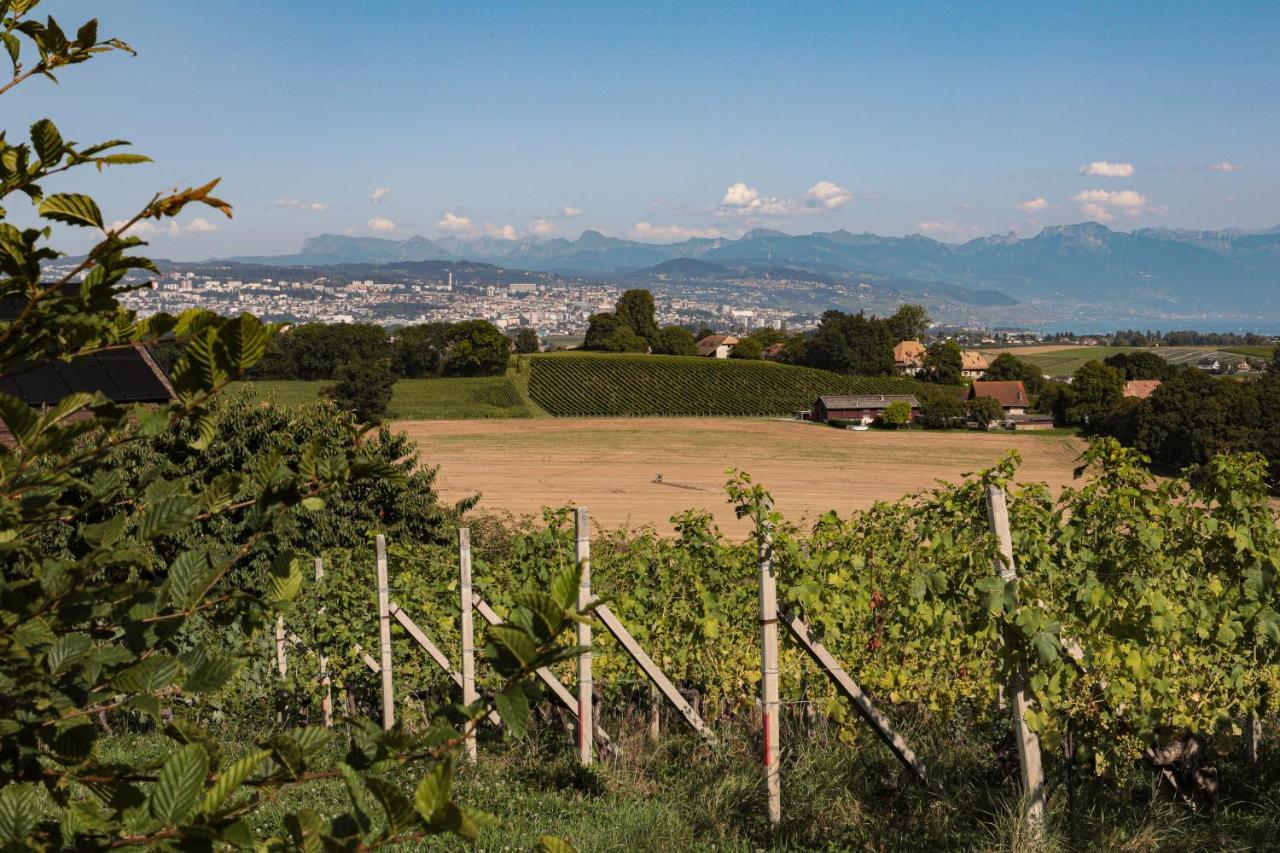 Ferienwohnung Les Volets Bleus Morges Exterior foto